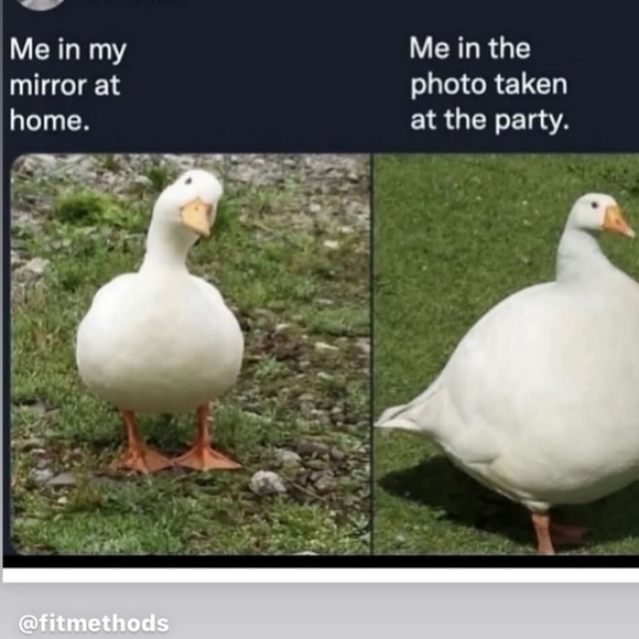 Dresses & Skirts - Everything PETITE